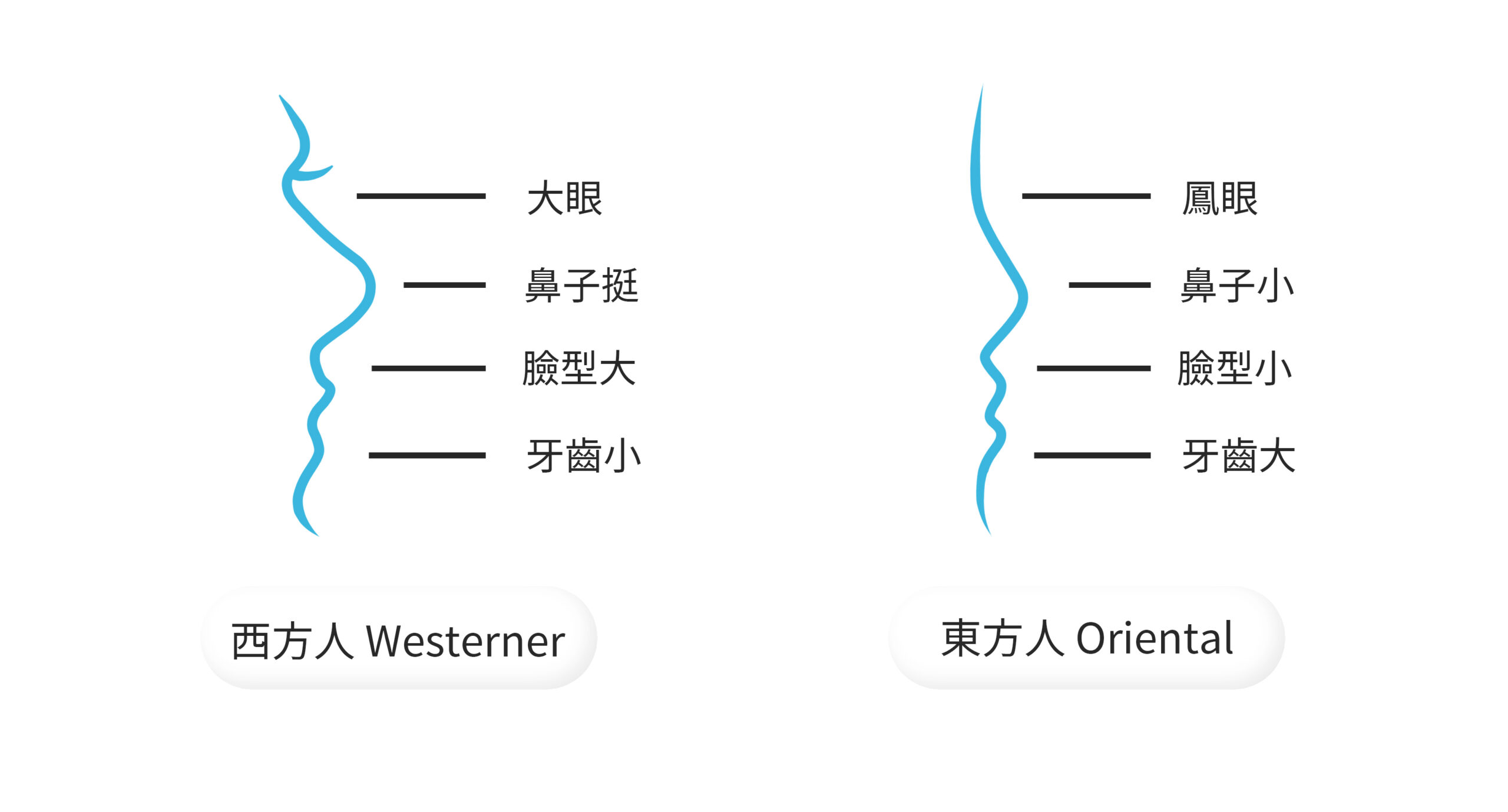 鐔豬牙齒矯正 東方人與西方人的不同