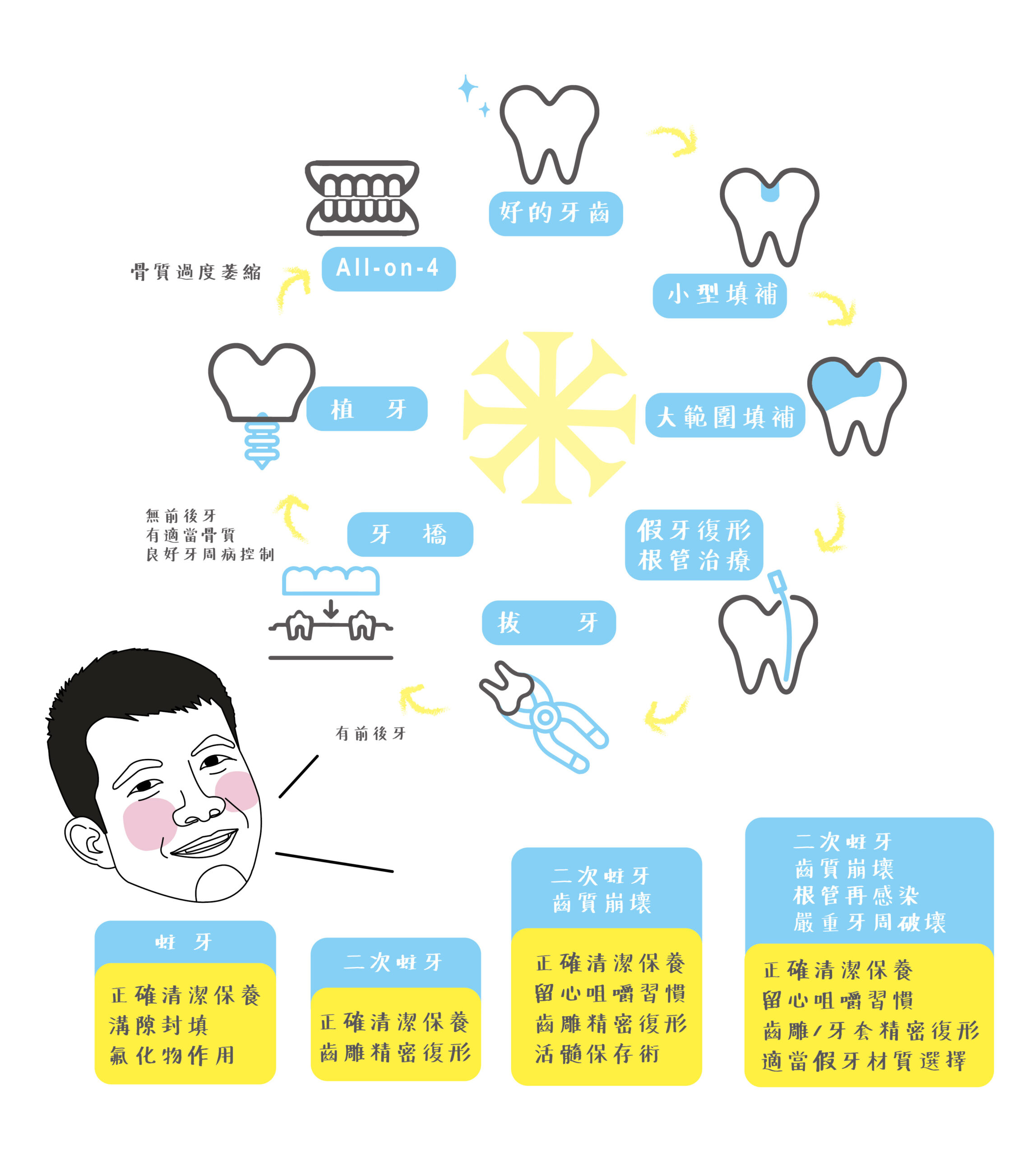 牙齒的生命故事