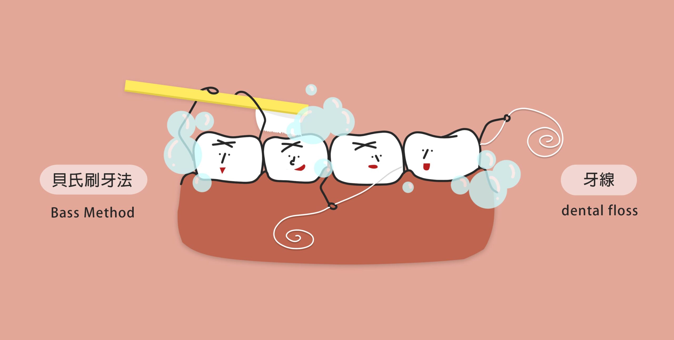 正確的牙齒清潔習慣，讓你遠離牙周病