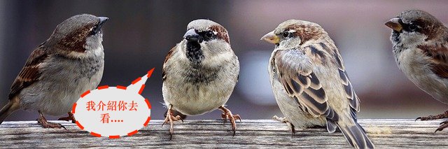 全口植牙推薦醫師