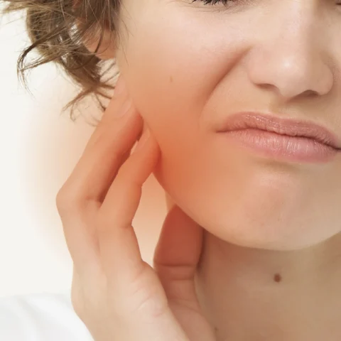 Temporomandibular joint